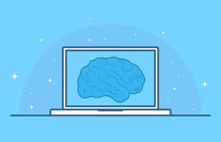 This shows a brain on a computer screen