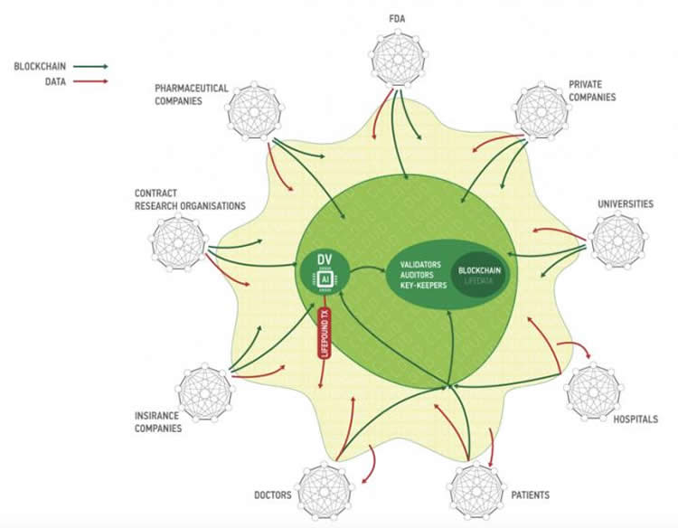 Image shows a diagram.