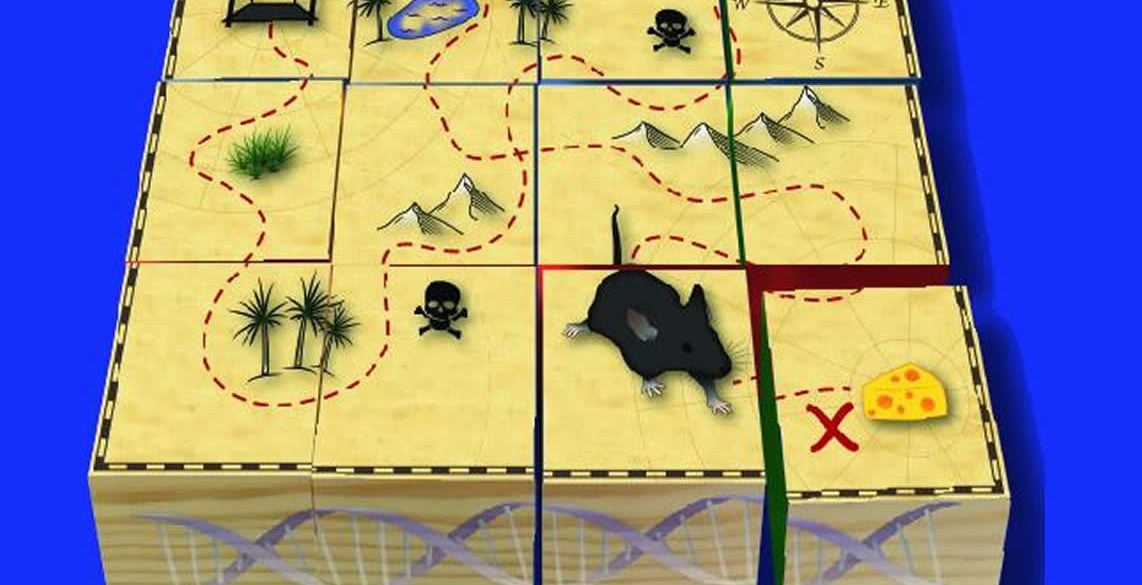 This shows a mouse on a map