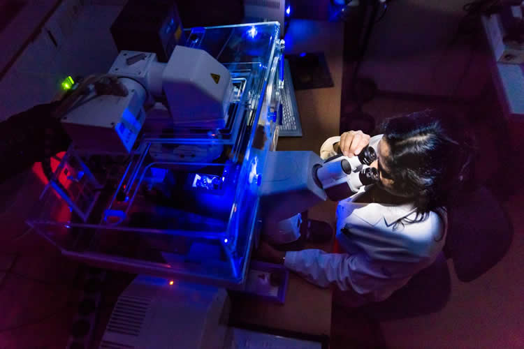 the researcher looking through a microscope