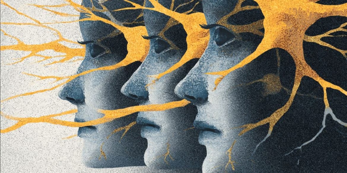 This shows three heads and neurons.