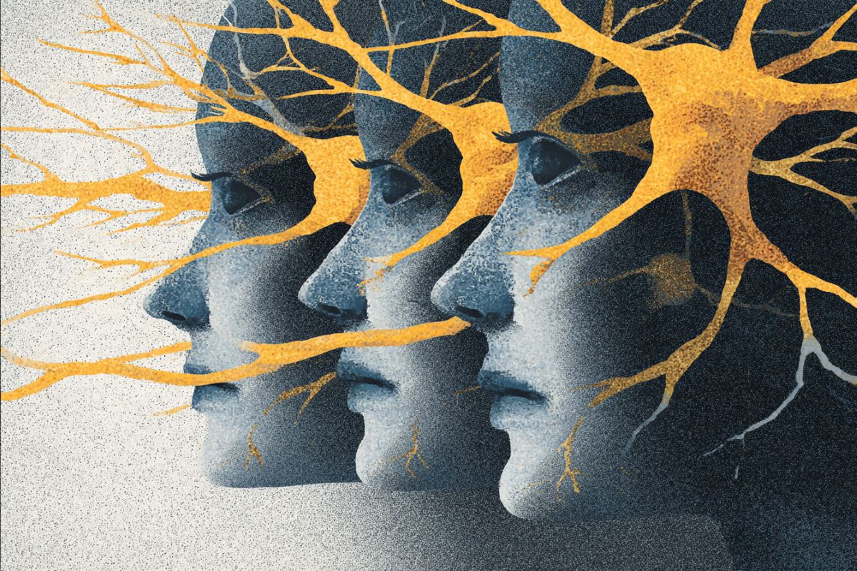 This shows three heads and neurons.