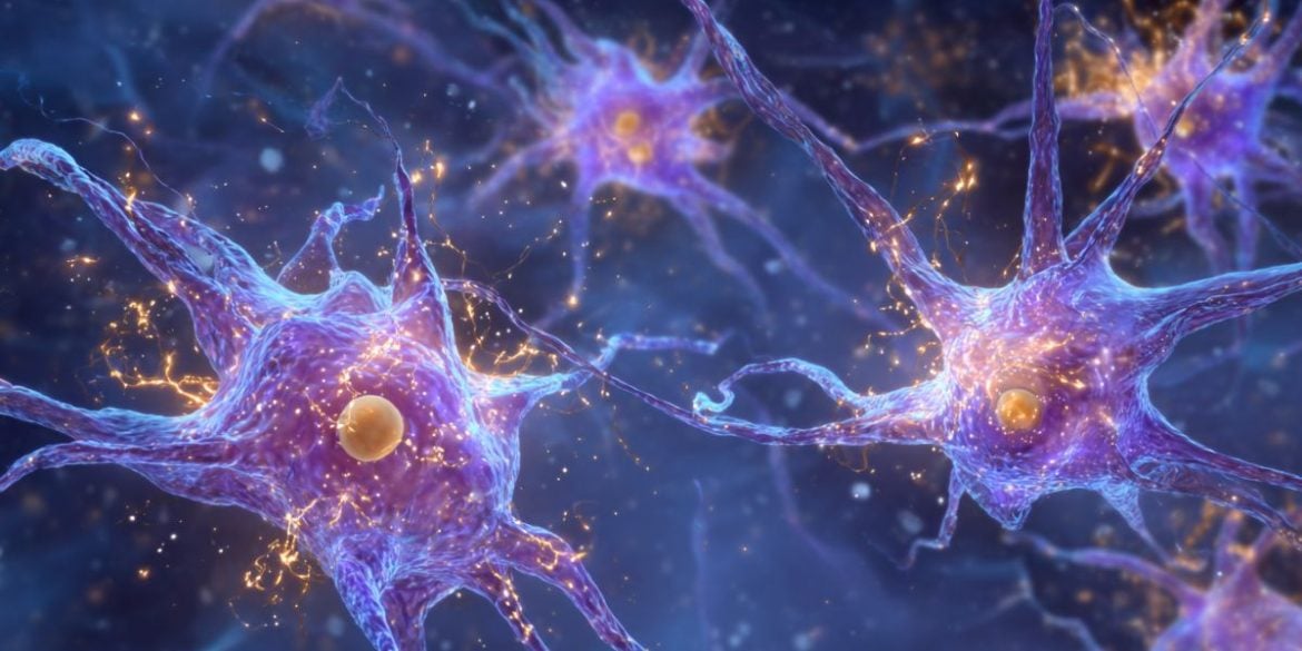 This is an AI representation of astrocytes in the amygdala.