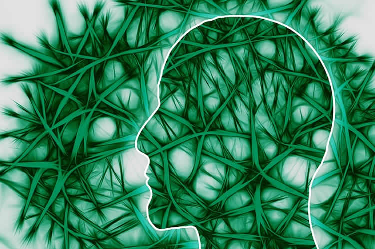 The image shows a human head outlined against green neurons.
