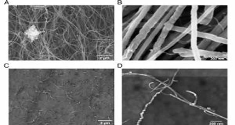 The image shows pristine and CMC-coated Fe-MWNTs.