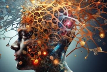 This shows a person's head.