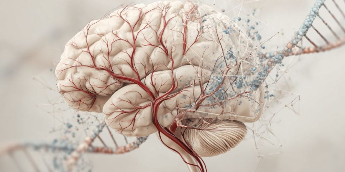 This shows a brain and DNA.