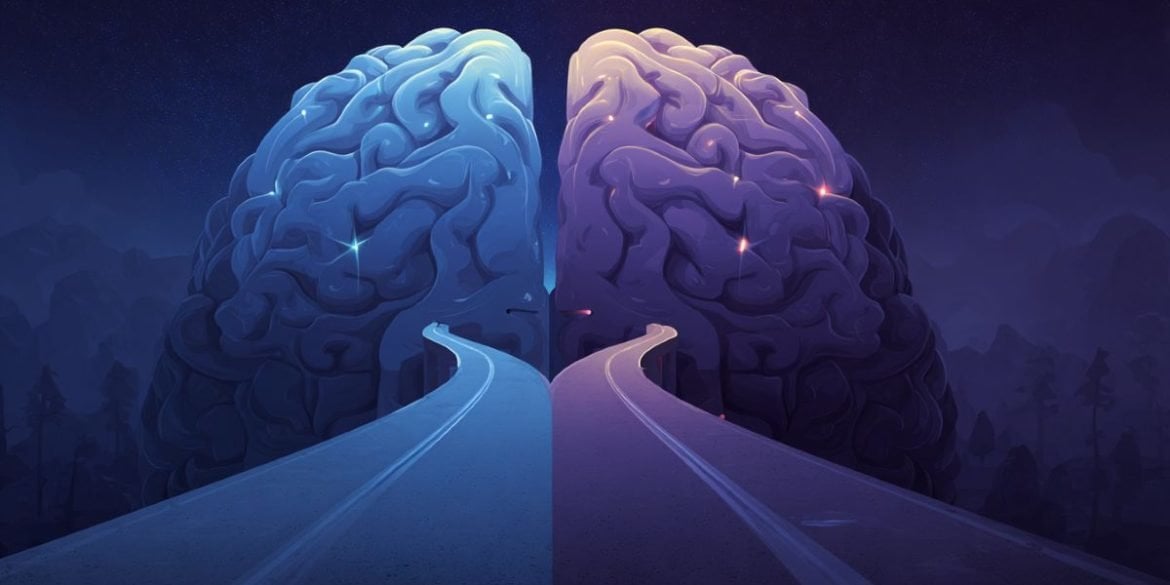 This shows a brain with two paths leading to it.