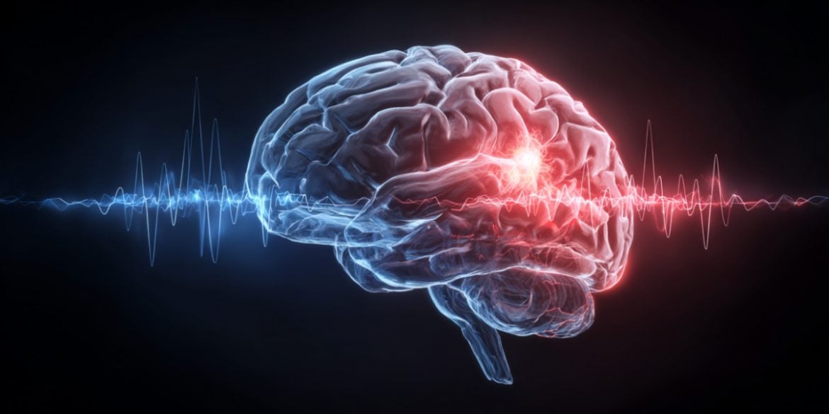 This shows a brain with the amygdala and hippocampus glowing red.