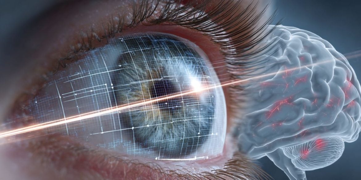 This shows a brain and an eye.