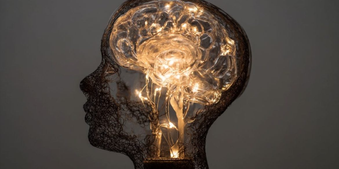 This shows a light in the shape of a brain overlaying a head.