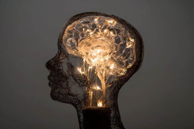 This shows a light in the shape of a brain overlaying a head.
