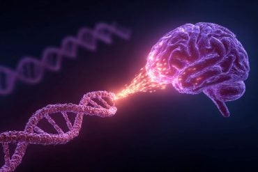 This shows DNA and a brain.