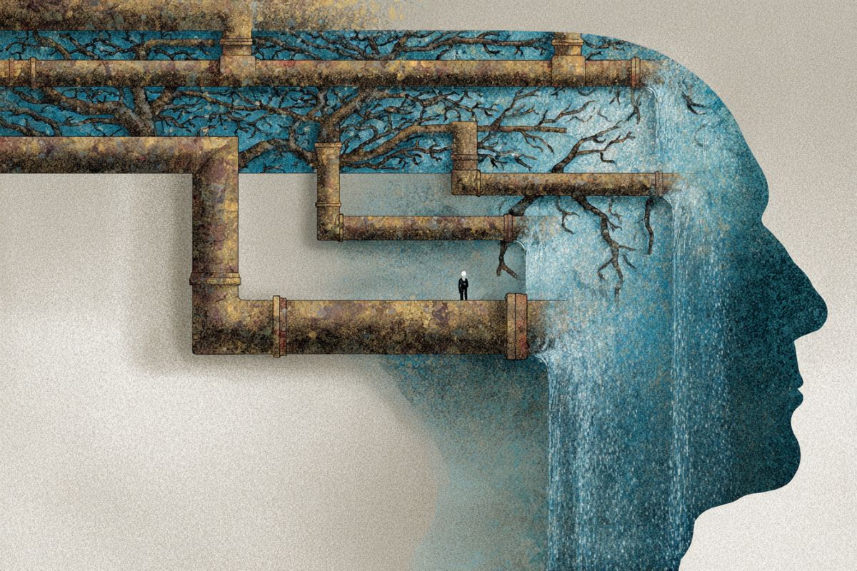 This shows a person's head and drainage system.