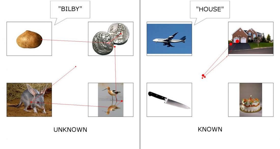 This shows pictures and the words associated with them, such as house