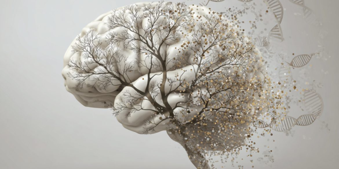 This shows a brain and a tree.