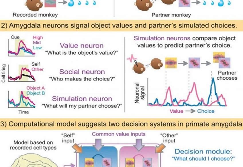 This is a diagram of the experimental setup