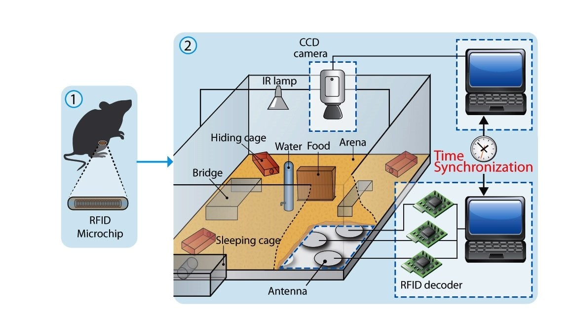 The diagram shows the experimental set up.
