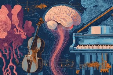 This shows a brain and a piano.