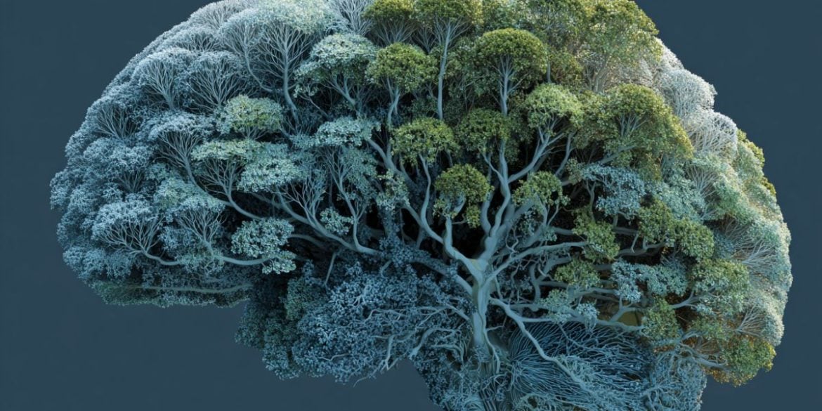 This shows a brain made up of trees.