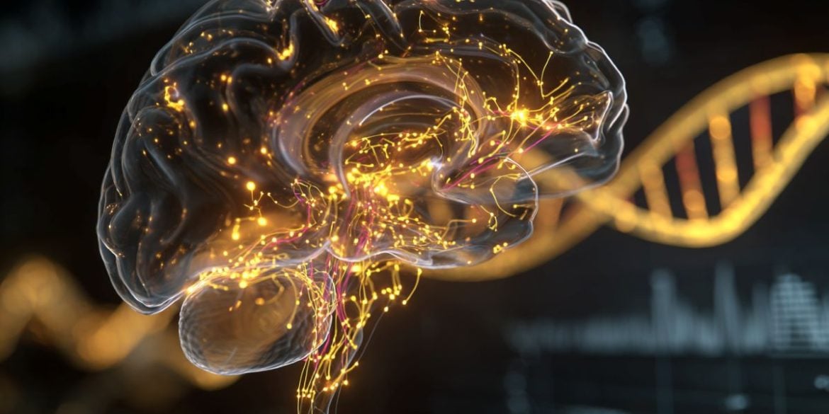 This shows a brain and DNA.