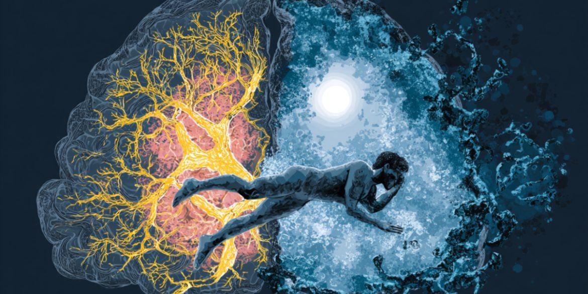 This shows a brain and a person sleeping.