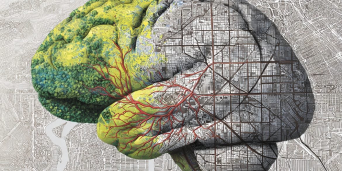 This shows a brain and a map overlay.