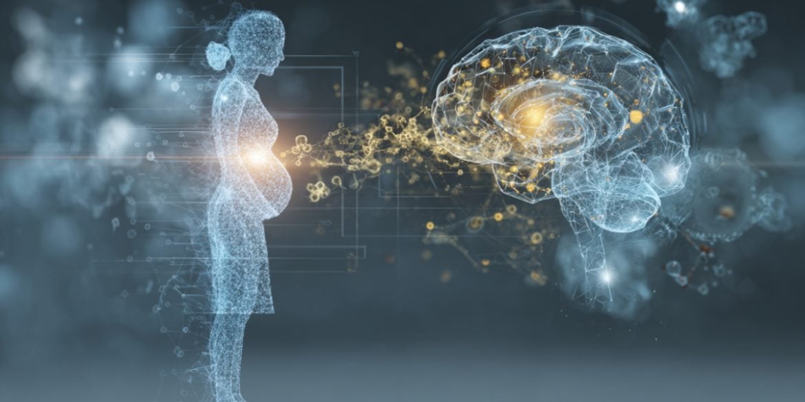 This shows a pregnant woman and a brain.