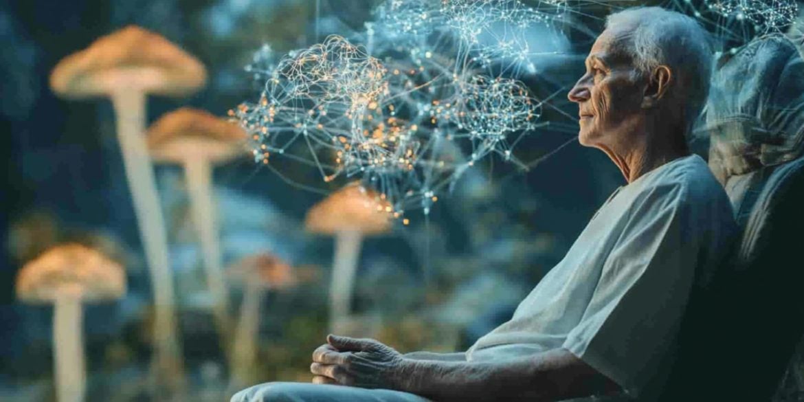 This shows a person sitting and mushrooms.