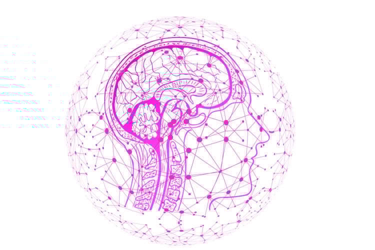 This shows a pink head with a brain outlined and network like dots