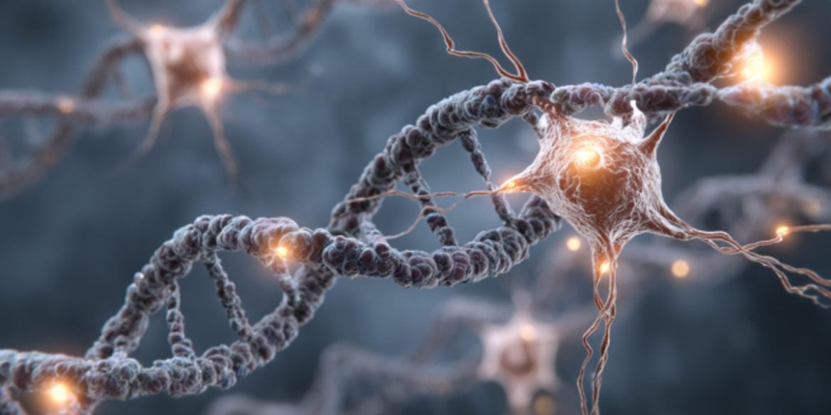 This shows neurons and DNA.