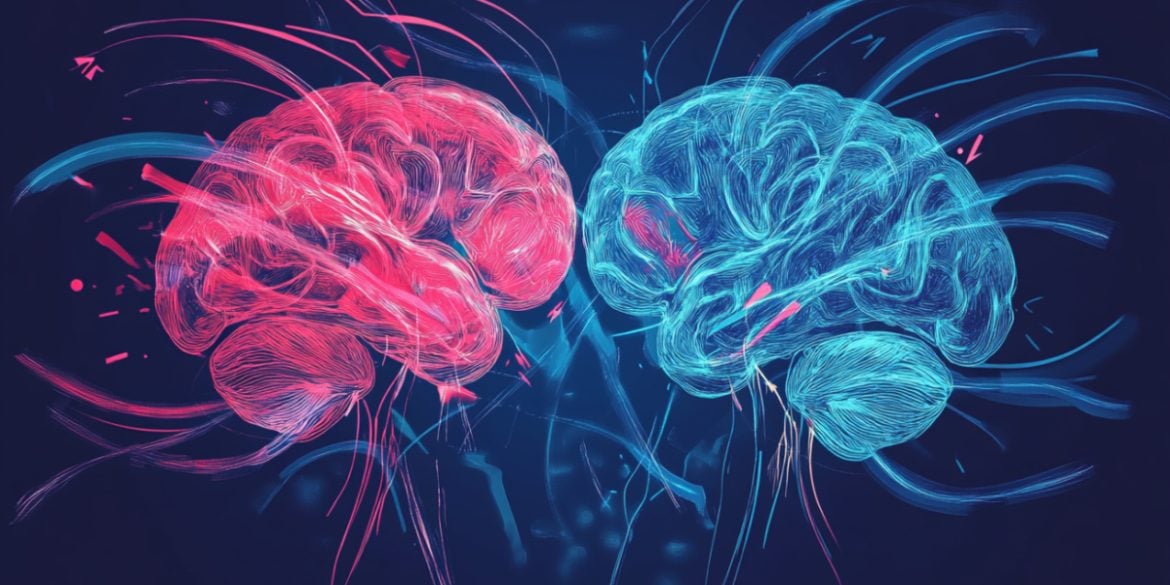 This shows two brains.