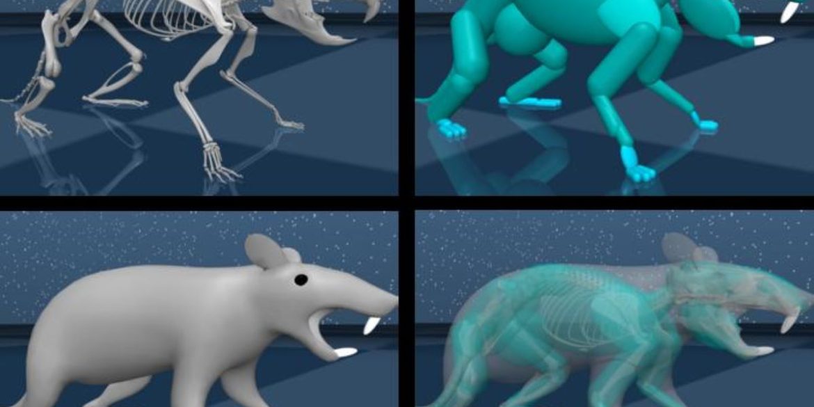 This shows the virtual rodent.